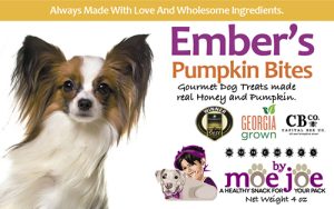 Ember's Pumpkin Bites (tm) (Seasonal)