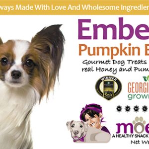 Ember's Pumpkin Bites (tm) (Seasonal)