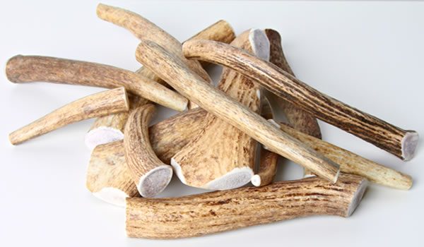 Antler Antler